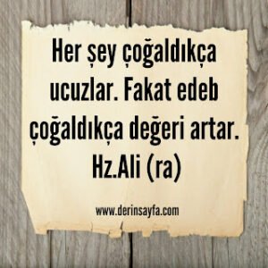 Her şey çoğaldıkça ucuzlar. Fakat edep çoğaldıkça değeri artar. Hz.Ali