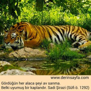Gördüğün her alaca şeyi av sanma.Belki uyumuş bir kaplandır.Sadi Şirazi (Sûfi ö. 1292)