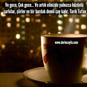 Ve gece, çok gece.. Ve artık elinizde yalnızca hüzünlü şarkılar, şiirler ve bir bardak demli çay kalır. Tarık Tufan