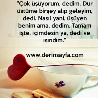 “Çok üşüyorum, dedim. Dur üstüme birşey alıp geleyim, dedi…”