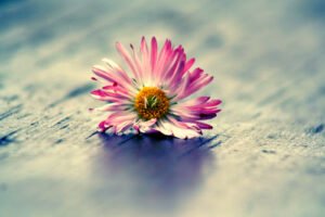 Müslümanlar Olarak Birbirinizle Uğraşmayın!