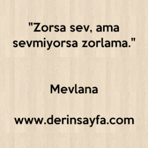 “Zorsa sev, ama sevmiyorsa zorlama.” Mevlana