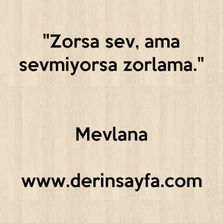 “Zorsa sev, ama sevmiyorsa zorlama.” Mevlana