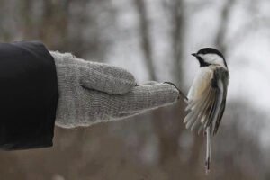 Çalışanlar, kötülük düşünmeye vakit bulamazlar.  Çalışmayanlar ise, kendilerini kötülükten kurtaramazlar.   __Hz. Ali__ (K.V)