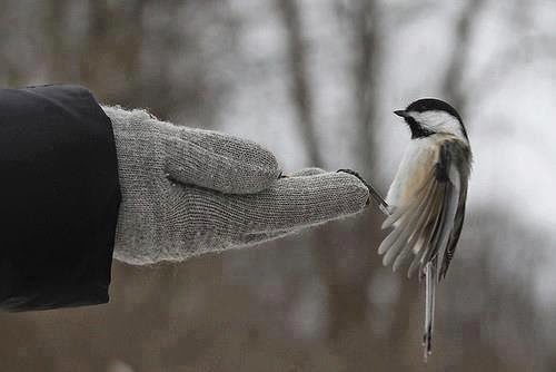 Çalışanlar, kötülük düşünmeye vakit bulamazlar.  Çalışmayanlar ise, kendilerini kötülükten kurtaramazlar.   __Hz. Ali__ (K.V)