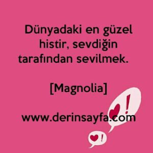 Dünyadaki en güzel histir, sevdiğin tarafından sevilmek.  [Magnolia]