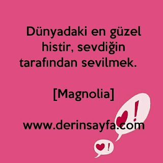 Dünyadaki en güzel histir, sevdiğin tarafından sevilmek.  [Magnolia]
