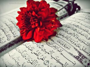 Cennet emel ile değil, amel ile elde edilir. Hz. Ali r.a