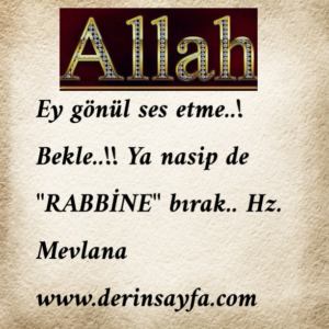 Ey gönül ses etme..! Bekle..!! Ya nasip de “RABBİNE” bırak..!!!..