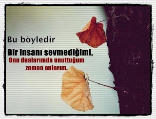 Bu böyledir; Bir insanı sevmediğimi,  Onu dualarımda unuttuğum zaman anlarım.