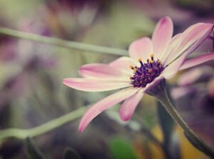 İlahi, eğer cehennemden korkarak sana kulluk ve ibadet ediyorsam, beni cehenneme koy