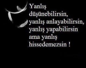 Yanlış düşünebilirsin, yanlış anlayabilirsin, yanlış yapabilirsin ama yanlış hissedemezsin..!!!