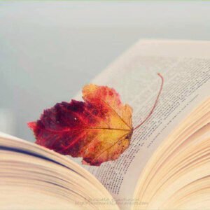 “Allah kimin hakkında hayır (iyilik) dilerse, onu dinde fakih yapar.”  (Buhari, farzu’l