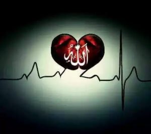 "Kendimizi başkalarına sevdirme gayreti şeytanın oyunudur.
Önemli olan Hakk'ın sevmesi ve hoşnut olmasıdır."