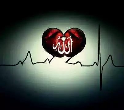 "Kendimizi başkalarına sevdirme gayreti şeytanın oyunudur.
Önemli olan Hakk'ın sevmesi ve hoşnut olmasıdır."