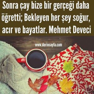 Çay ile ilgili sözler / resimli