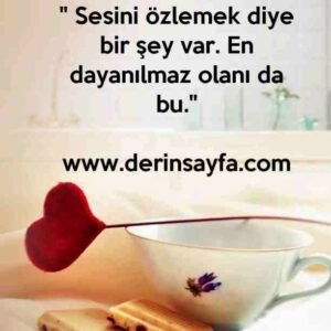 " Sesini özlemek diye bir şey var. En dayanılmaz olanı da bu."