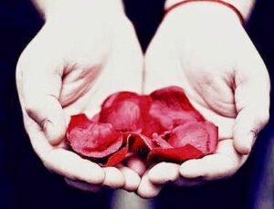 ALLAH’ım!   Sevgini, seni seven kimsenin sevgisini ve sevgine ulaştıracak ameli istiyorum.