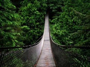 Yaşam büyük. Âmenna. Ama
ben biraz azalsam.
Nazan Bekiroğlu