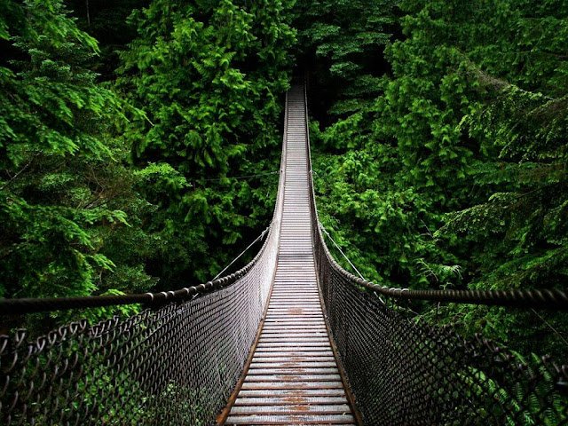 Yaşam büyük. Âmenna. Ama
ben biraz azalsam.
Nazan Bekiroğlu