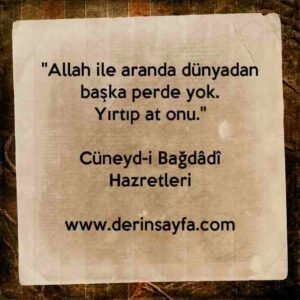 "Allah ile aranda dünyadan başka perde yok.
Yırtıp at onu."
Cüneyd