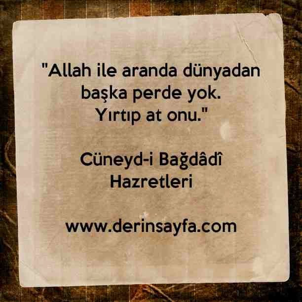 "Allah ile aranda dünyadan başka perde yok.
Yırtıp at onu."
Cüneyd-i Bağdâdî Hazretleri