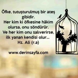 Öfke, tutuşturulmuş bir ateş gibidir.
Her kim ki öfkesine hâkim olursa, onu söndürür. Hz. Ali (r.a)