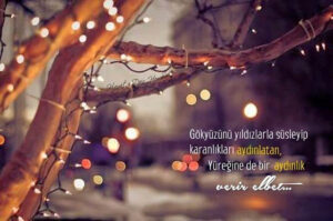 Gökyüzünü yıldızlarla süsleyip karanlıkları aydınlatan,
Yüreğine de bir aydınlık..
Mustafa Dolunay