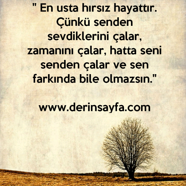 " En usta hırsız hayattır. Çünkü senden sevdiklerini çalar, zamanını çalar, hatta seni senden çalar ve sen farkında bile olmazsın."