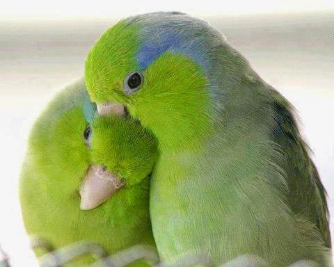 Seveceğiniz insan yaşamınıza, başkalarının paylaşamayacağı ayrıcalıklar getirmeli