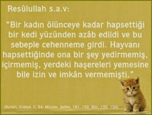 Bir kadın ölünceye kadar hapsettiği  bir kedi yüzünden azâb edildi ve bu  sebeple cehenneme girdi