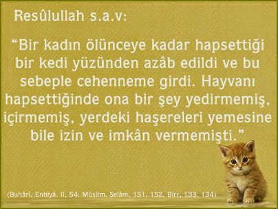 Bir kadın ölünceye kadar hapsettiği  bir kedi yüzünden azâb edildi ve bu  sebeple cehenneme girdi