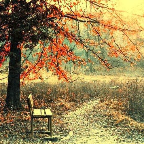 Bir deli rüzgar da benim içime esse,
bunca acıyı, kederi