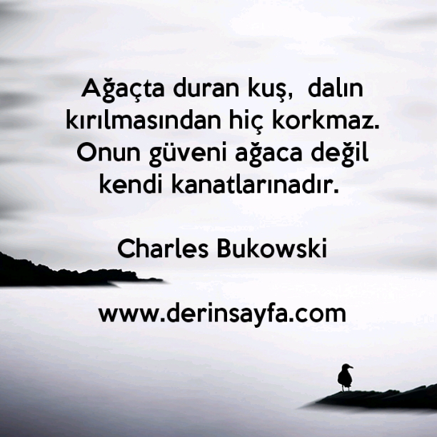 Ağaçta duran kuş,  dalın kırılmasından hiç korkmaz. Onun güveni ağaca değil kendi kanatlarınadır. – Charles Bukowski