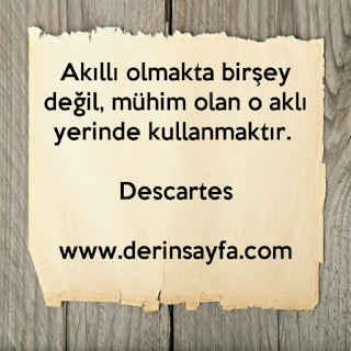 Akıllı olmakta birşey değil, mühim olan o aklı yerinde kullanmaktır. Descartes