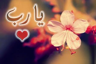 Hani dilimizin ucuna gelipte söyleyemediklerimiz varya,  Allah (c.c.) o cümlelerin yolunu açık etsin