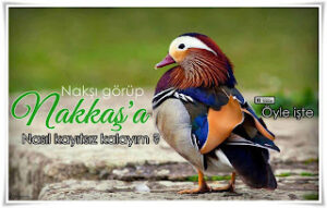 Nakşı görüp, Nakkaş’ a nasıl kayıtsız kalayım ?