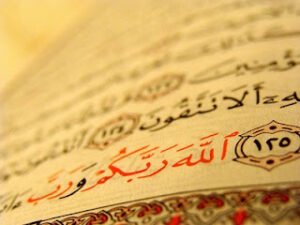 “Oku” Emrini, “Diploma al” diye anlamış olmanın bedelini çok ağır ödüyoruz.   – Sait Çamlıca