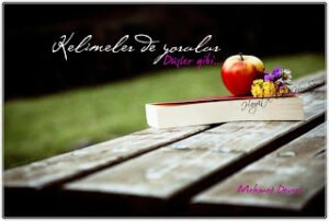 Kelimeler de yorulur Düşler gibi…  Mehmet Deveci