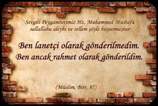 Ben lanetçi olarak gönderilmedim