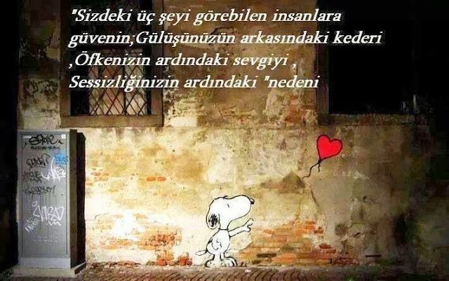 ''Sizdeki üç şeyi görebilen insanlara
güvenin;gülüşünüzün ardındaki
kederi..''