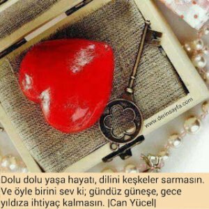Dolu dolu yaşa hayatı, dilini keşkeler sarmasın. Ve öyle birini sev ki; gündüz güneşe, gece yıldıza ihtiyaç kalmasın. |Can Yücel|