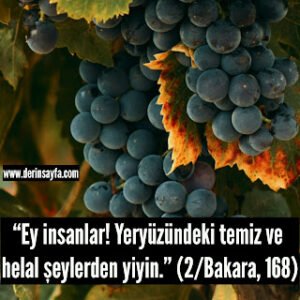 “Ey insanlar! Yeryüzündeki temiz ve helal şeylerden yiyin.” (2