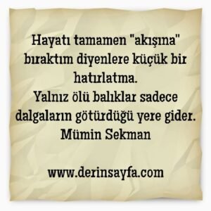 Hayatı tamamen "akışına" bıraktım diyenlere küçük bir
hatırlatma..
Mümin Sekman