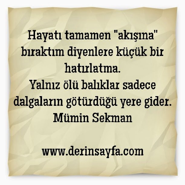 Hayatı tamamen "akışına" bıraktım diyenlere küçük bir
hatırlatma..
Mümin Sekman