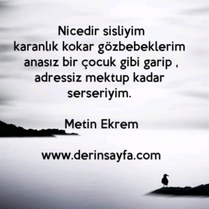 Nicedir sisliyim
karanlık kokar gözbebeklerim 
anasız bir çocuk gibi garip ,
adressiz mektup kadar 
serseriyim. – Metin Ekrem