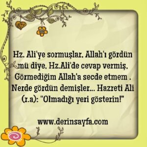Hz. Ali’ye sormuşlar, Allah’ı gördün mü diye, Hz.Ali de cevap vermiş..