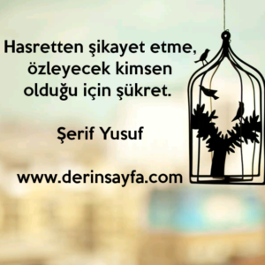 Hasretten şikayet etme, özleyecek kimsen olduğu için şükret. Şerif Yusuf