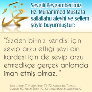 Sizden biriniz kendisi için sevip arzu ettiği şeyi din kardeşi için de sevip arzu etmedikçe gerçek anlamda iman etmiş olmaz