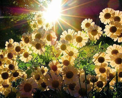 Bizim sohbetimiz nisan yağmuruna benzer